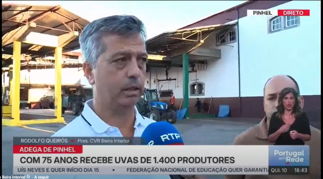 La vendimia de Beira Interior es noticia en la RTP